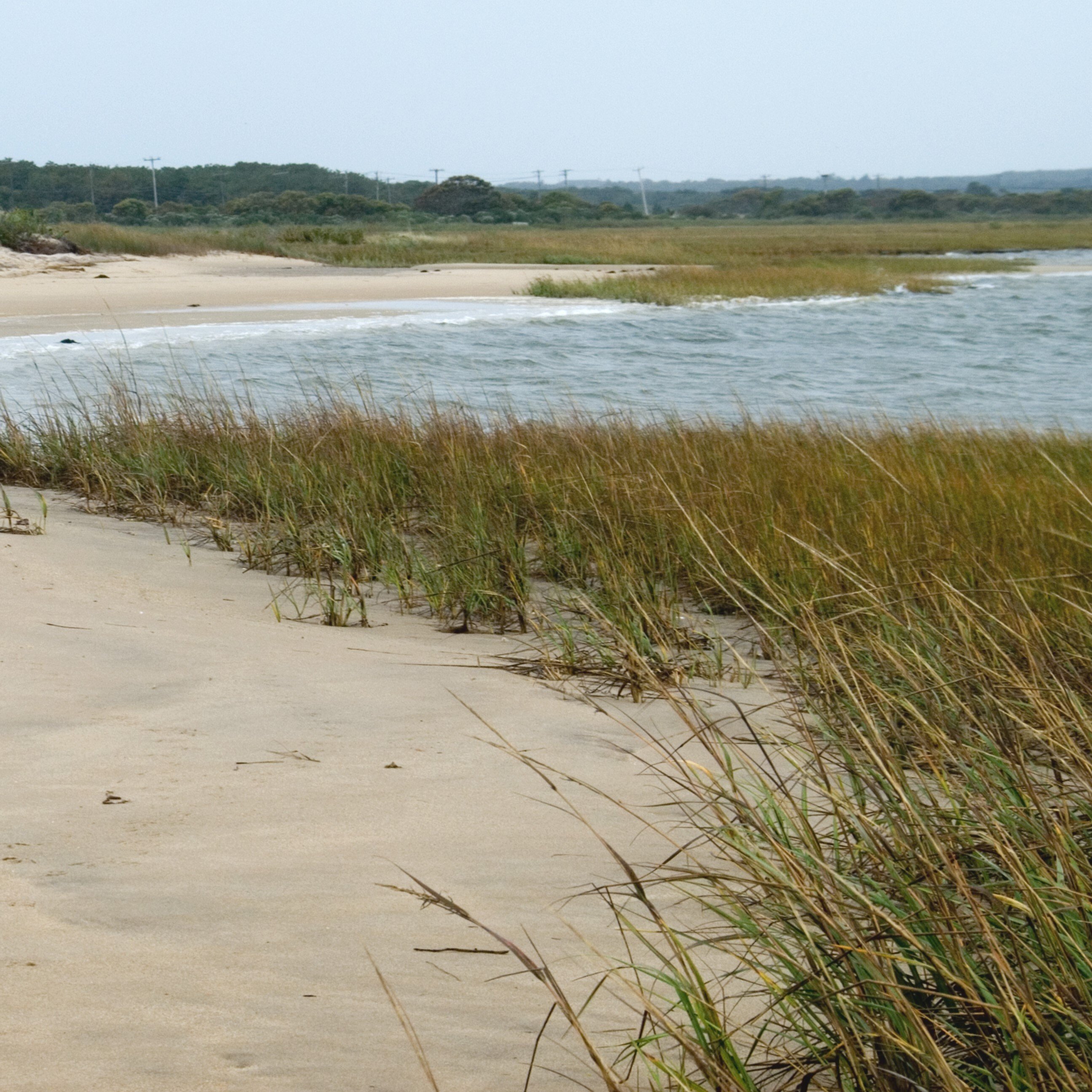 Napeague State Park