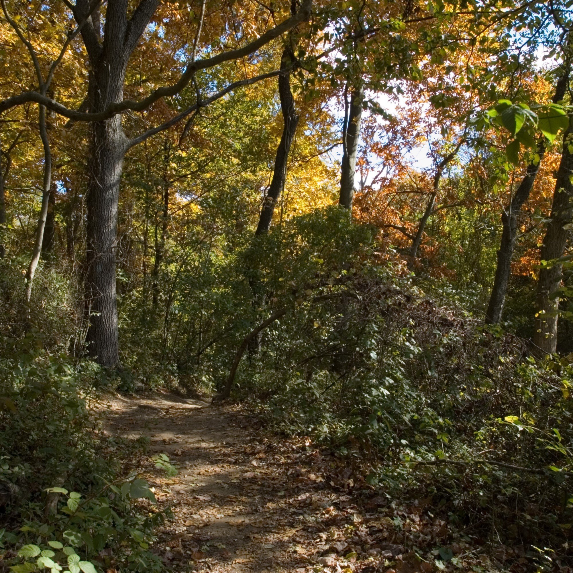 Trail View State Park